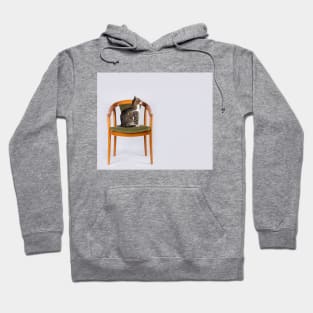 a cat on a chair Hoodie